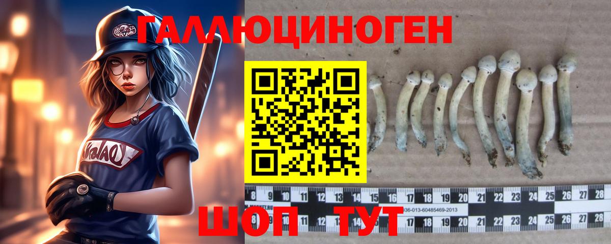 Псилоцибиновые грибы Cubensis Верхняя Салда