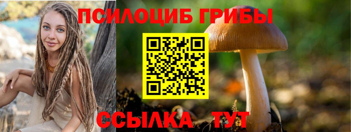 Верхняя Салда  Псилоцибиновые грибы MAGIC MUSHROOMS  Вход с VPN 